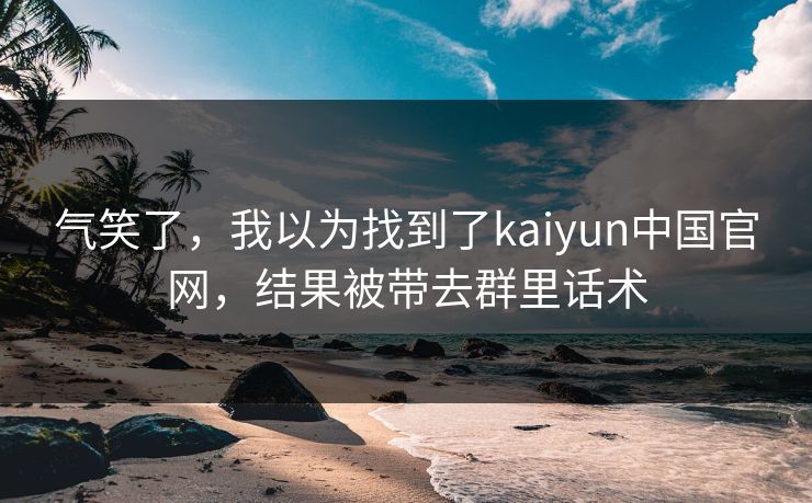 气笑了，我以为找到了kaiyun中国官网，结果被带去群里话术