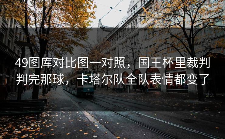 49图库对比图一对照，国王杯里裁判判完那球，卡塔尔队全队表情都变了